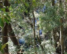 Cachoeira do Vogivoda