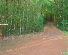 Parque Ambiental de Gamelão