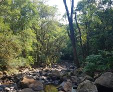 Cachoeira do Vogivoda