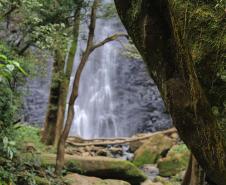 Cachoeira Véu da Noiva