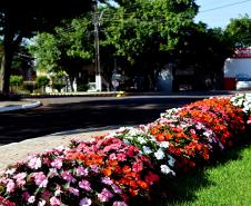 Paisagismo Urbano