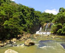 Salto Dito Gradiano