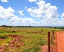 Trilha em Estrada Rural