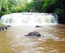 Cachoeira