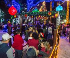 Festas de Natal já iluminam muitas cidades do Paraná