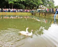 Bosque Municipal André Ricardo da Silva