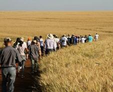 Caminhadas na Natureza terão 160 circuitos no Paraná neste ano