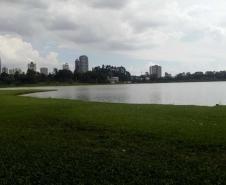 Parque Barigui