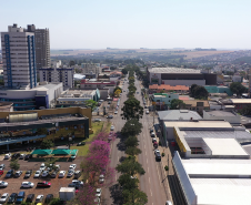 Cascavel