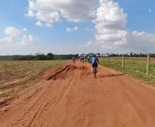 Foto: Diego Reis - IAT Campo Mourão