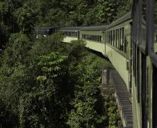 foto trem serra verde