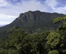 foto trem serra verde