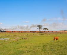 Trem dos Tropeiros: locomotiva a vapor percorre trajeto repleto de história a partir da Lapa