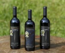 Série Inverno no Paraná - Vinhos