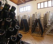 Série Inverno no Paraná - Vinhos
