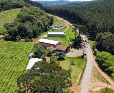 Série Inverno no Paraná - Vinhos