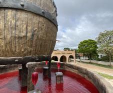 Série Inverno no Paraná - Vinhos