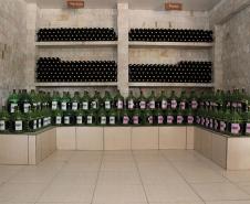 Série Inverno no Paraná - Vinhos
