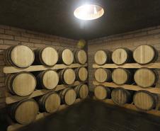 Série Inverno no Paraná - Vinhos
