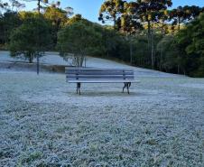 Série Inverno no Paraná - Vinhos