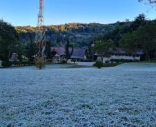 Série Inverno no Paraná - Vinhos