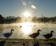 Frio de Curitiba