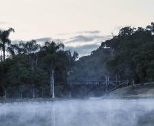 Frio de Curitiba