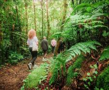 Fotos Nova pesquisa vai identificar preferências dos turistas na Mata Atlântica