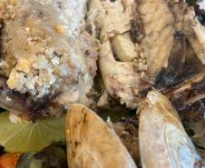 série inverno - gastronomia caiçara