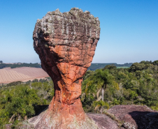 fotos parque vila velha