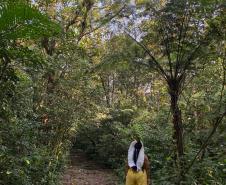 Notícia - Turismo com experiência indígena é atração da Grande Reserva da Mata Atlântica no Paraná 