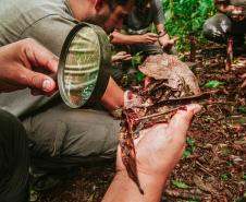 Notícia - Grande Reserva da Mata Atlântica tem atividades especiais no final de semana do Dia dos Pais