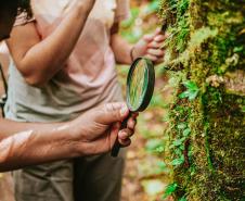 Notícia - Grande Reserva da Mata Atlântica tem atividades especiais no final de semana do Dia dos Pais