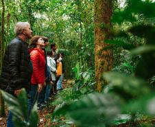 Notícia - Grande Reserva da Mata Atlântica tem atividades especiais no final de semana do Dia dos Pais