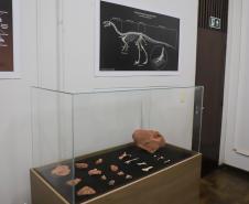 Notícia - Vale dos Dinossauros: Cruzeiro do Oeste recebe título que reforça turismo científico