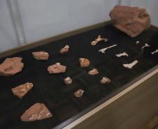 Notícia - Vale dos Dinossauros: Cruzeiro do Oeste recebe título que reforça turismo científico