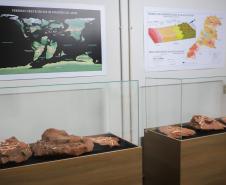 Notícia - Vale dos Dinossauros: Cruzeiro do Oeste recebe título que reforça turismo científico