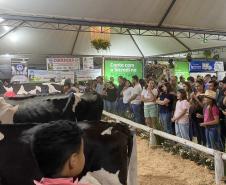 Notícia - Feira do melado, porco no rolete e balonismo: veja o calendário turístico do Paraná em setembro