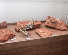 Notícia - Vale dos Dinossauros: Cruzeiro do Oeste recebe título que reforça turismo científico