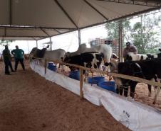 Notícia - Festas religiosas, ecoturismo e feira de inovação: veja o calendário turístico de outubro