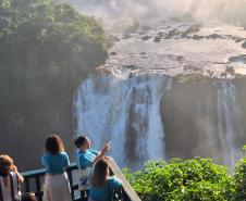 Parque Iguaçu está entre 10 destinos mais pesquisados no Google, mostra site de turismo