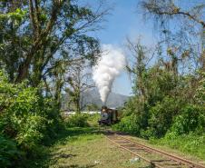 Notícia - Gastronomia típica, música e cultura: passeio de trem é opção turística do verão paranaense