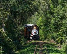 Notícia - Gastronomia típica, música e cultura: passeio de trem é opção turística do verão paranaense