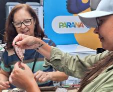 Estrutura e atrações em alta: pesquisa aponta aprovação dos cruzeiros no Paraná