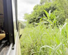 Estrada de Ferro Paranaguá-Curitiba celebra 140 anos de história, desenvolvimento e turismo