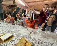Capital do Vinho do Paraná, Bituruna é destaque em roteiro nacional de enoturismo
