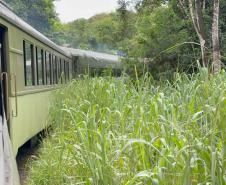 Estrada de Ferro Paranaguá-Curitiba celebra 140 anos de história, desenvolvimento e turismo