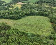 Capital do Vinho do Paraná, Bituruna é destaque em roteiro nacional de enoturismo