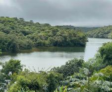 Estrada de Ferro Paranaguá-Curitiba celebra 140 anos de história, desenvolvimento e turismo