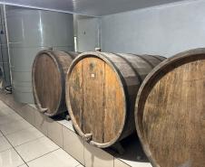 Capital do Vinho do Paraná, Bituruna é destaque em roteiro nacional de enoturismo